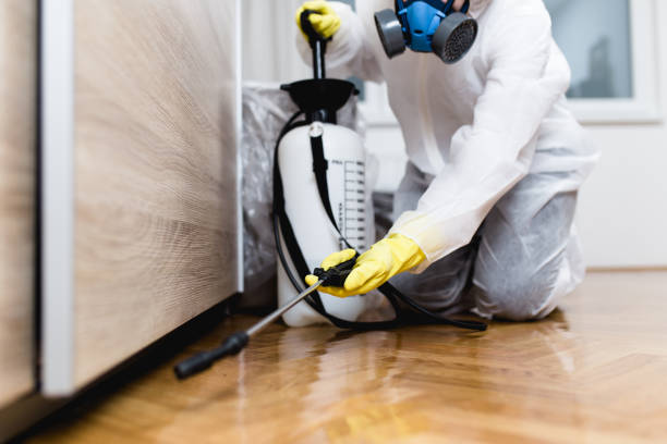 Best Pest Control for Homes  in Harpersville, AL