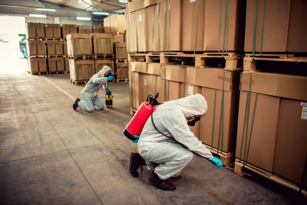Best Exterminator Services  in Harpersville, AL