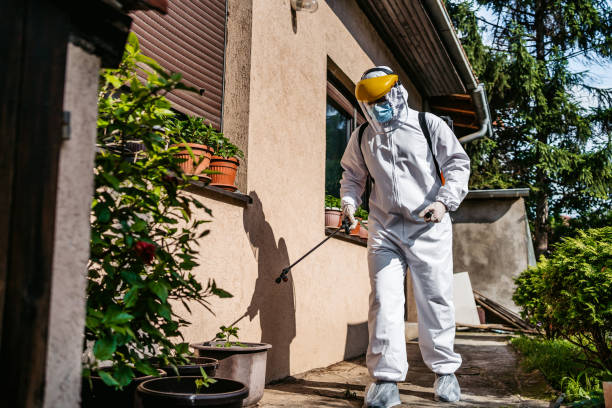 Best Rat Extermination Near Me  in Harpersville, AL