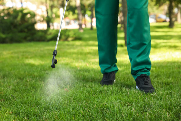 Best Wildlife Control Services  in Harpersville, AL