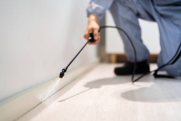 Best Cockroach Control Services  in Harpersville, AL