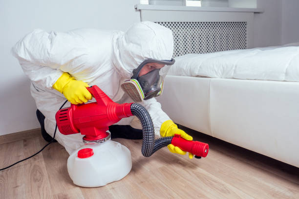 Best Local Pest Control Services  in Harpersville, AL