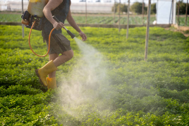 Best Wasp Removal Services  in Harpersville, AL