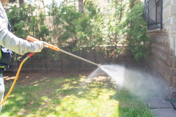 Best Best Pest Control Near Me  in Harpersville, AL
