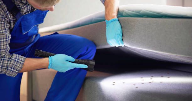Best Pest Control Near Me  in Harpersville, AL