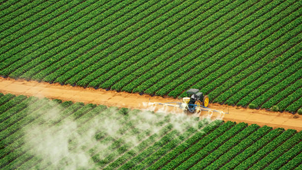 Pest Control Cost in Harpersville, AL