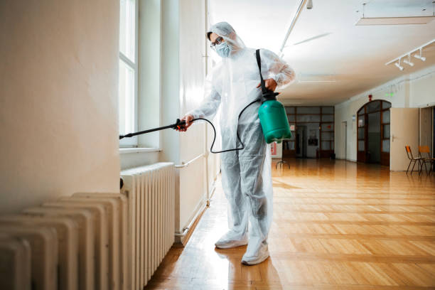 Best Best Pest Control Companies  in Harpersville, AL