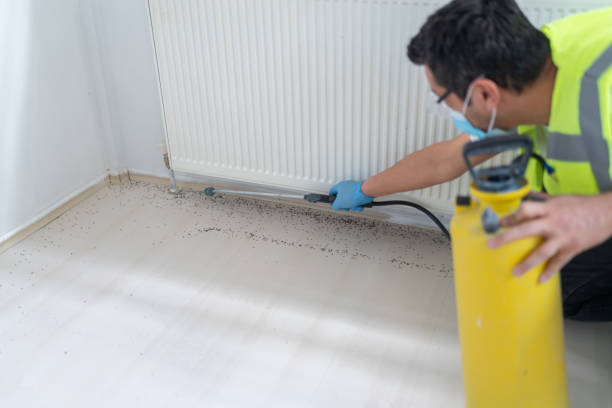 Best Ant Control Services  in Harpersville, AL