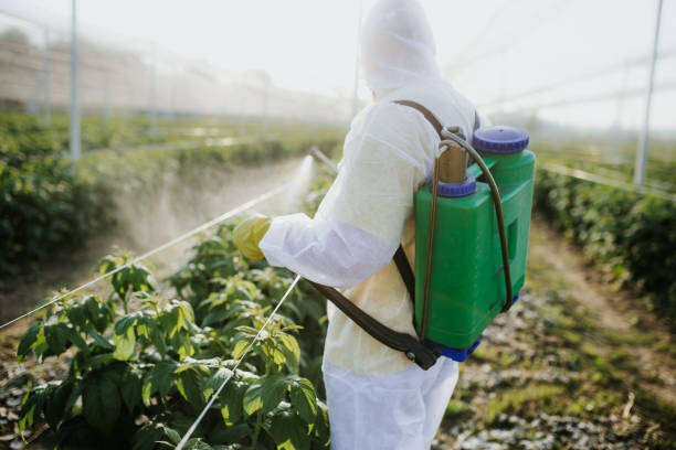 Best Mosquito Control Services  in Harpersville, AL